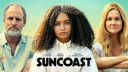 Suncoast film Logo